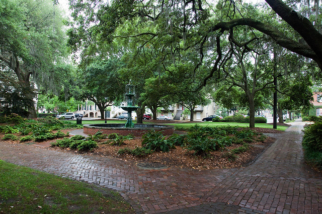 Savannah's Squares